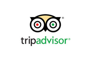 tripadvisor with owl logo