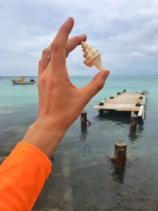 hand holding a shell over an abandoned dock in aruba
