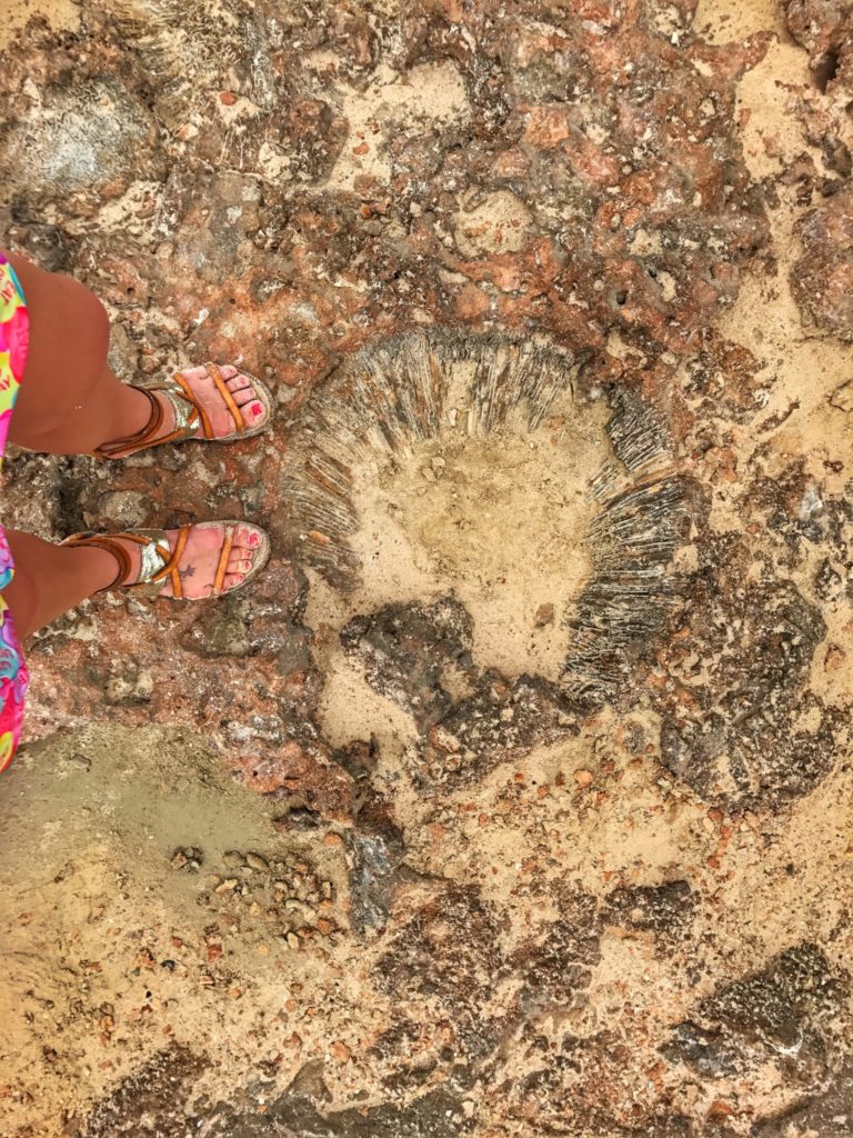 womans feet on limestone cliff in aruba