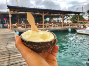 coconut ice cream in a coconut shell