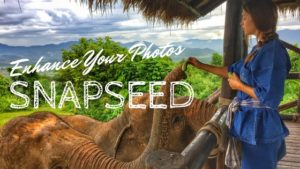 Enhance Your Photos Snapseed with woman feeding elephants