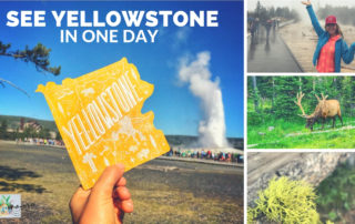 yellowstone postcard