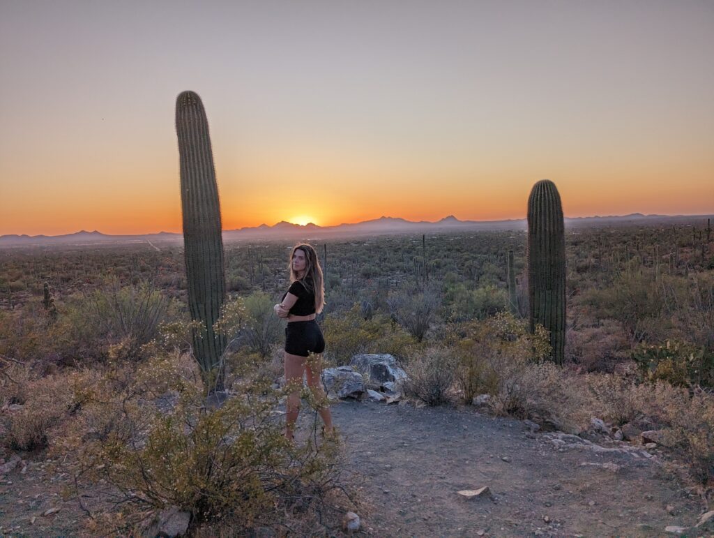 Saguaro National Park Sunset